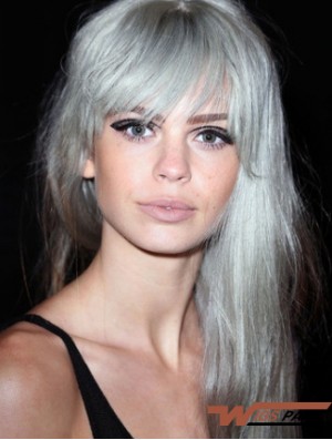 Popular Long Straight 20 inch Synthetic Grey Wigs